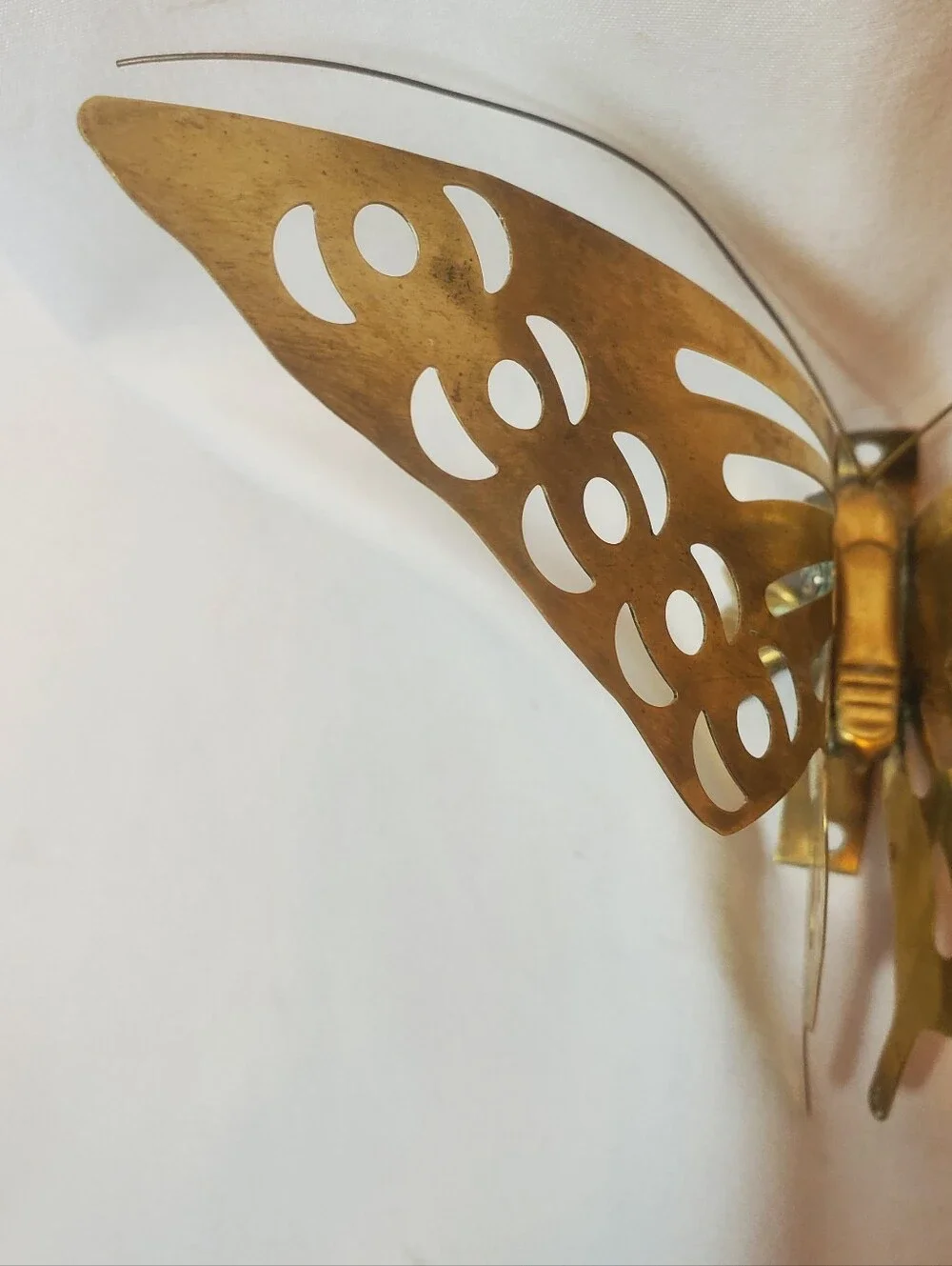 The Unbranded Brand add graceful